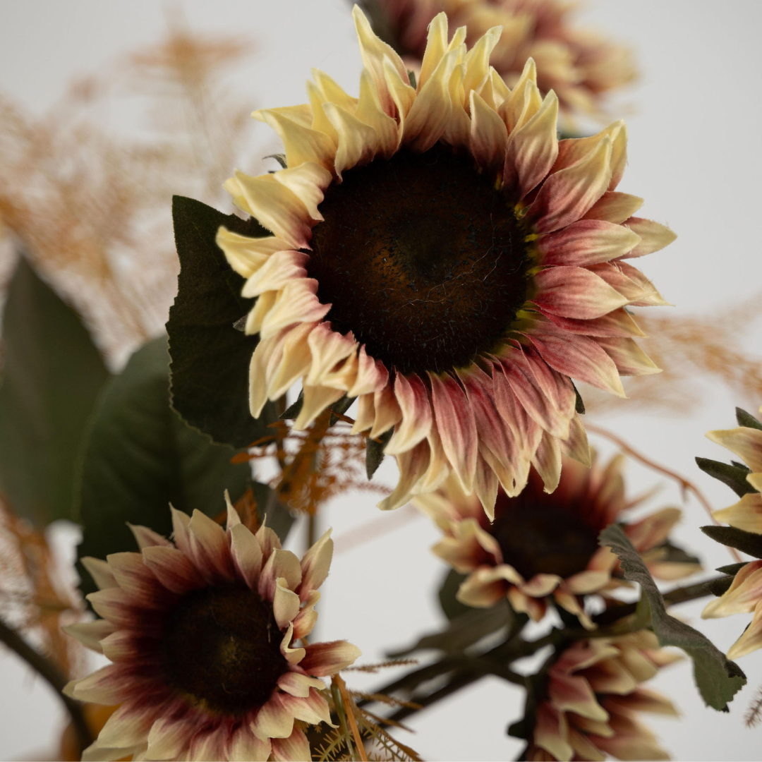 The Fiore