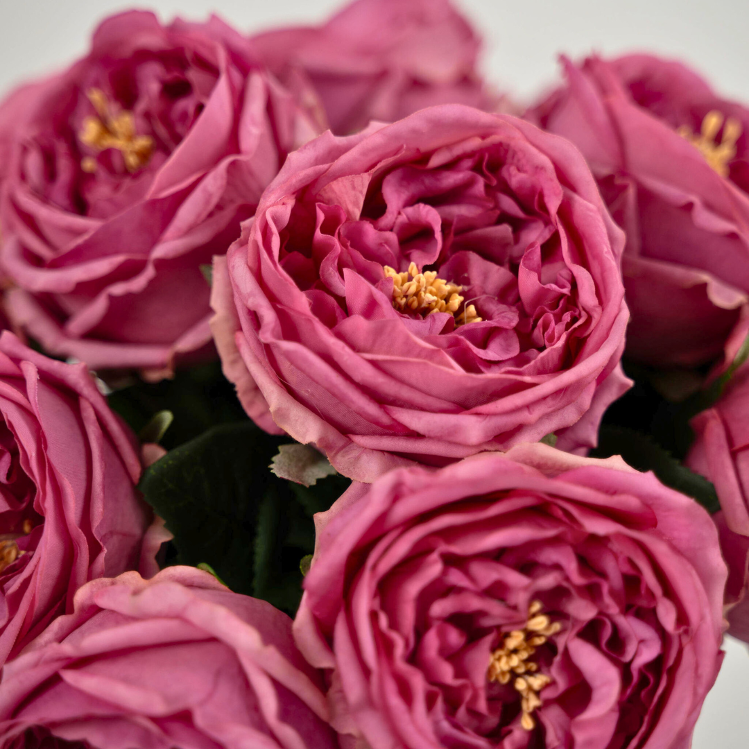 The Rosa