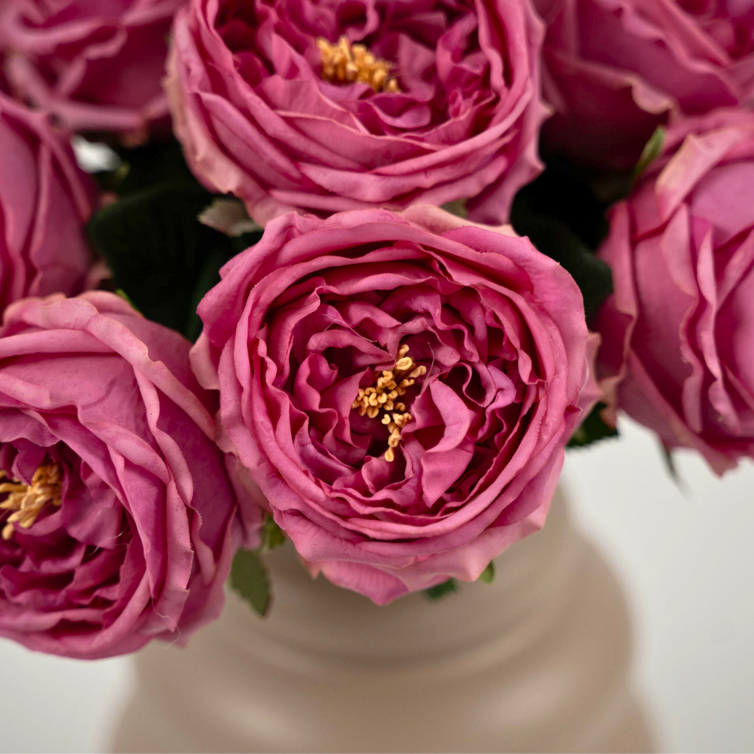 The Rosa
