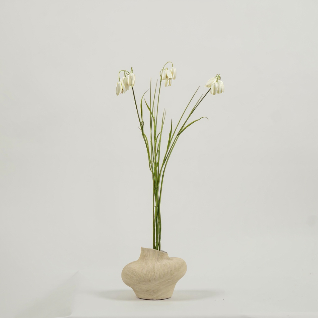 Fritillaria