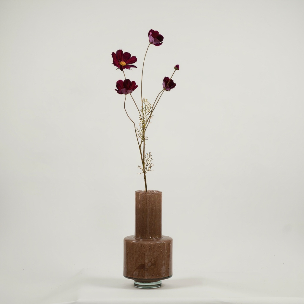 Cosmos Bordeaux