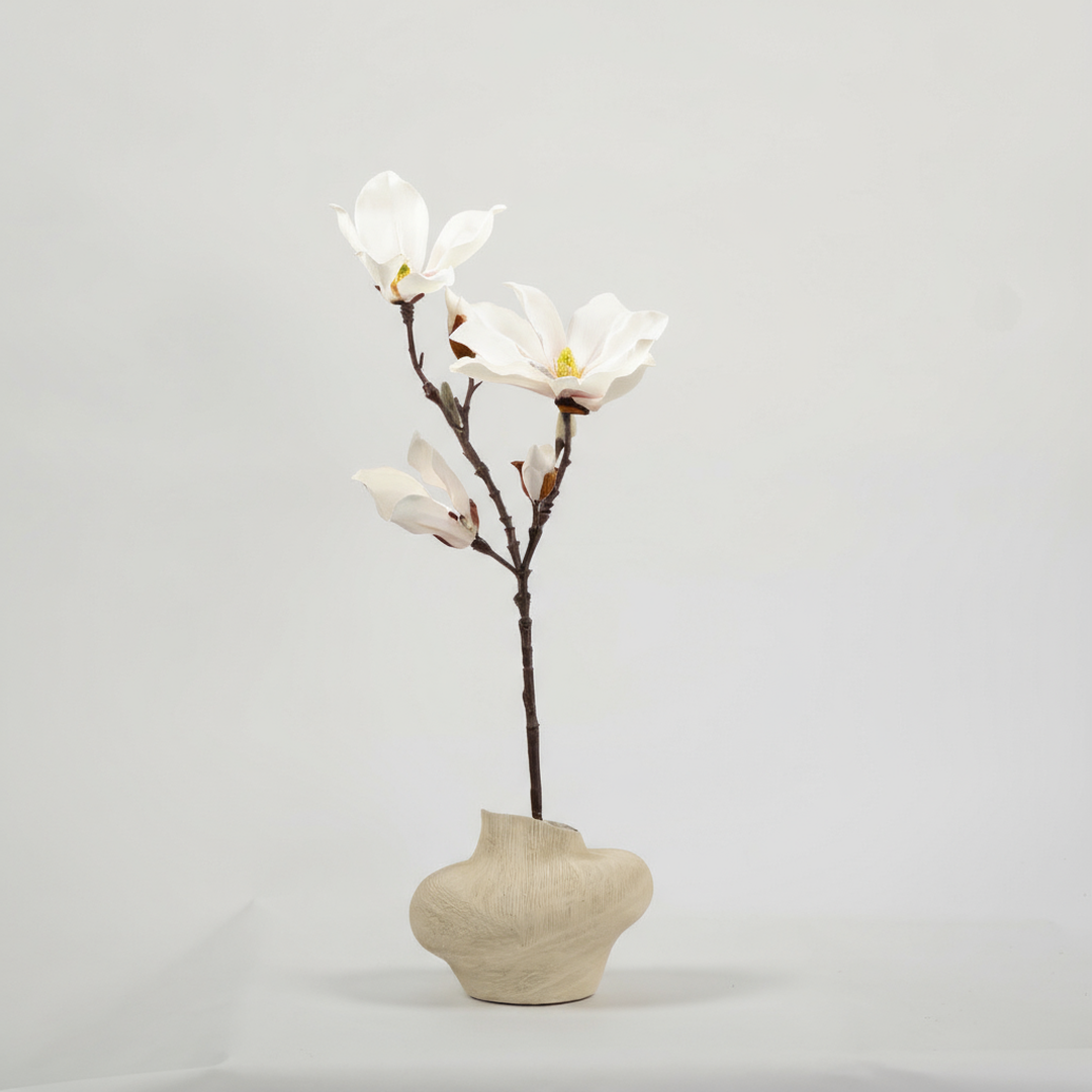 Magnolia Wit
