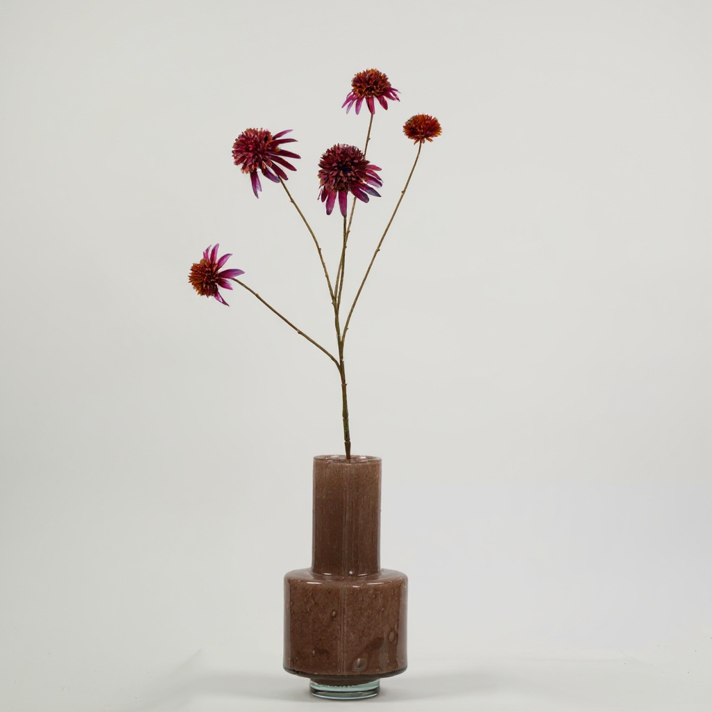 Rudbeckia Paars