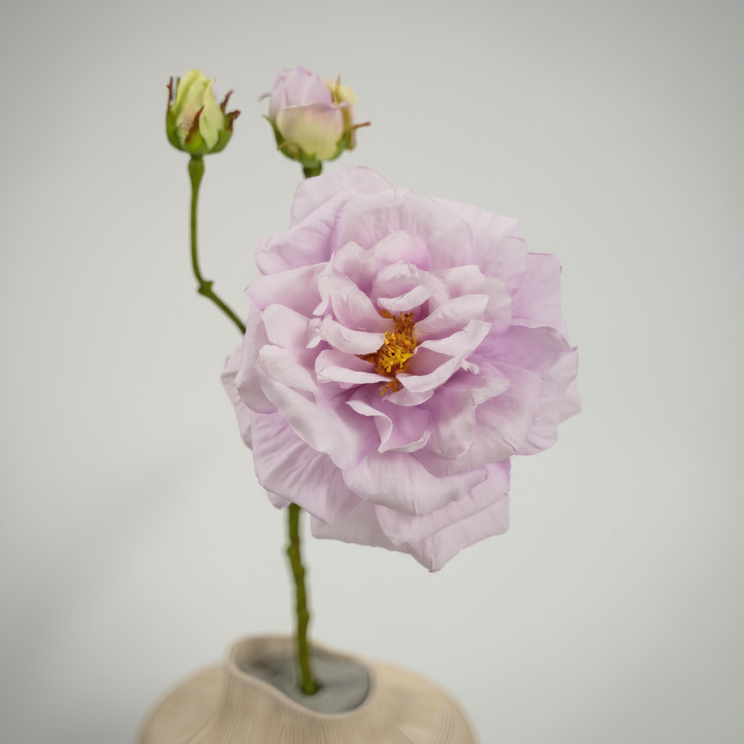 Roos Roze