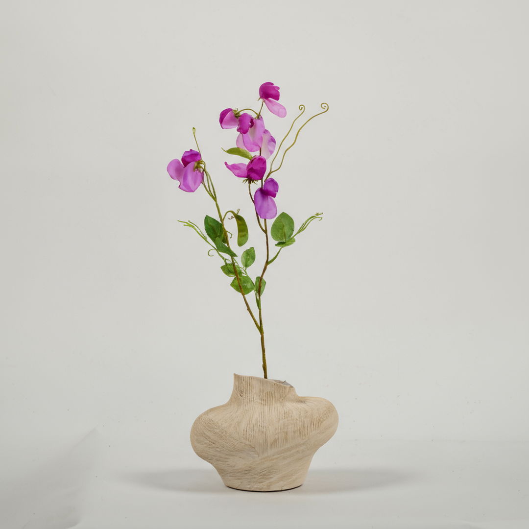 Lathyrus Paars