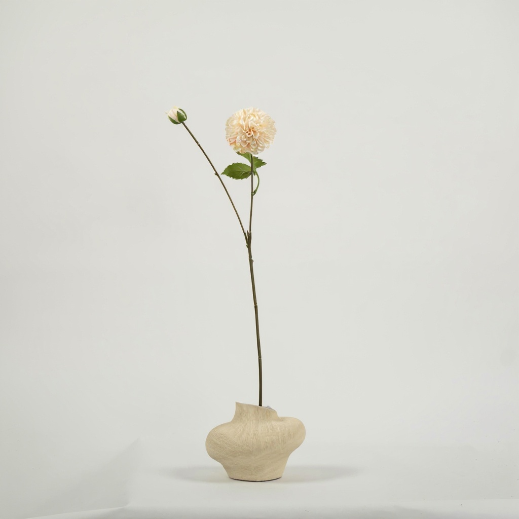 Dahlia Crème