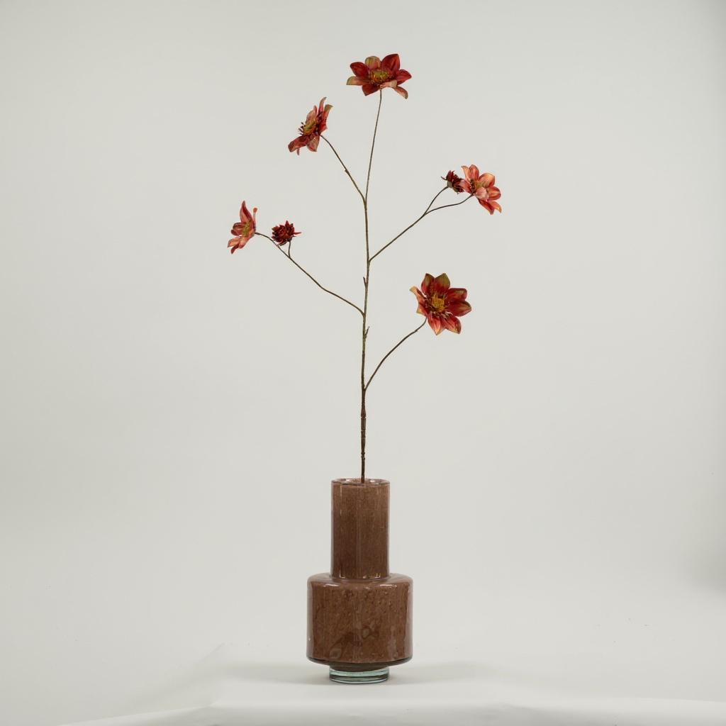 Rudbeckia Bruin