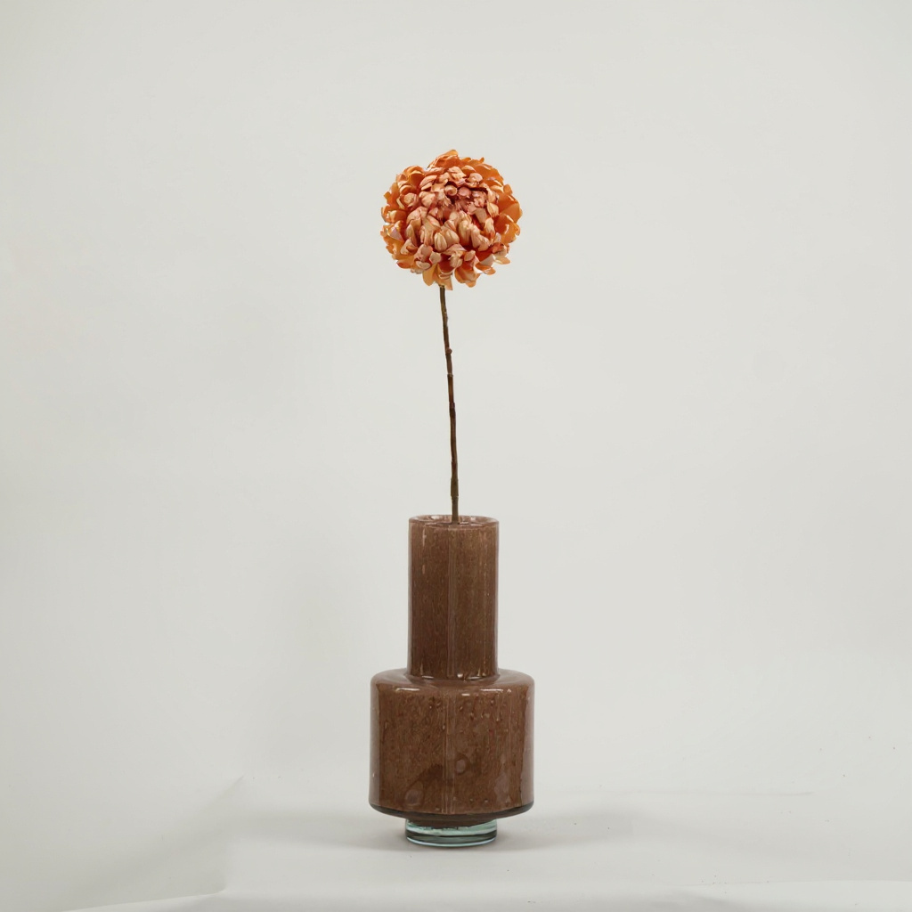 Chrysant Tak Zalm